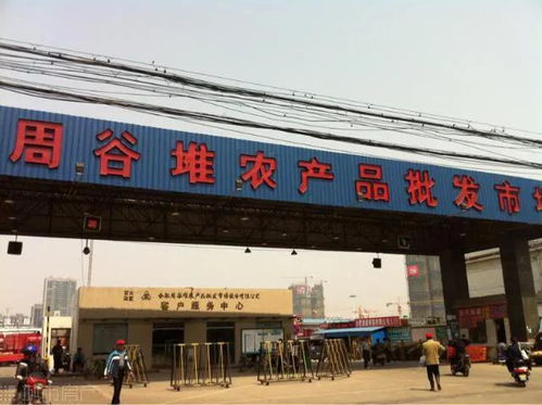 1992年的合肥 18張照片里的食用農(nóng)產(chǎn)品批發(fā)市場(chǎng)