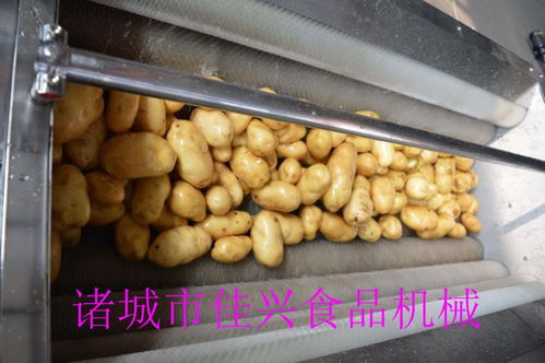 北票龍眼清洗線廠家批發(fā) 提升農(nóng)產(chǎn)品品質(zhì)，咨詢我們獲取專(zhuān)業(yè)解決方案